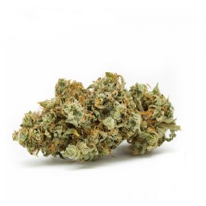 Gorilla Glue